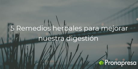 5 Remedios herbales para mejorar nuestra digestión - Tienda Naturista Pronapresa - Bienestar, Consejos, Dato Curioso, Estreñimiento, Naturopatía, Recetas, Salud, Sistema Digestivo