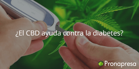 ¿El CBD ayuda contra la diabetes? - Tienda Naturista Pronapresa - Bienestar, Cannabis, CBD, Consejos, Dato Curioso, Diabetes, Obesidad, Salud