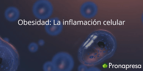 Obesidad: La inflamación celular - Tienda Naturista Pronapresa - Bienestar, Carbohidratos, Colesterol, Corazon, Diabetes, Dieta, Ejercicio, Estreñimiento, Fibra, Inflamación, Naturopatía, Nutrición, Obesidad, Recetas, Salud, Sistema Digestivo