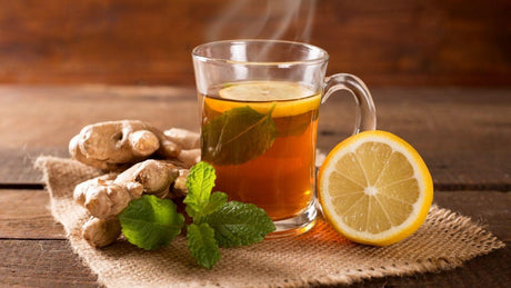 Tipos de infusiones y Beneficios que aporta al organismo