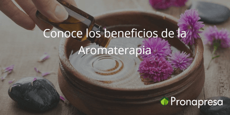 Conoce los beneficios de la Aromaterapia 🌻 - Tienda Naturista Pronapresa - Ansiedad, Aromaterapia, Bienestar, Consejos, Dato Curioso, Estrés, Insomnio, Medicina Tradicional, Naturopatía, Nervios, Recetas, Salud, Salud Mental
