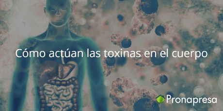 Cómo actúan las toxinas en el cuerpo - Tienda Naturista Pronapresa - Bienestar, Consejos, Depurador, Desintoxicacion, Detox, Medicina Tradicional, Naturopatía, Salud