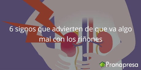6 signos que advierten de que algo va mal en los riñones - Tienda Naturista Pronapresa - Bienestar, Consejos, Medicina Tradicional, Naturopatía, Retención de líquidos, Riñones, Riñón, Salud