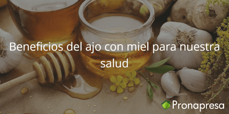 Beneficios del ajo con miel para nuestra salud - Tienda Naturista Pronapresa - Bienestar, Colesterol, Consejos, Corazon, Garganta, Gripa, Medicina Tradicional, Naturopatía, Nutrición, Salud, Tos