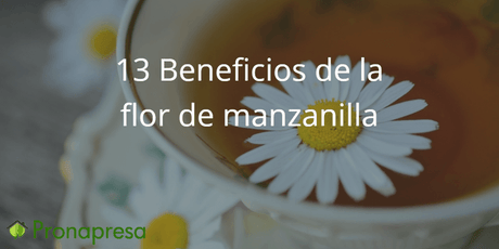 13 beneficios de la manzanilla 🌼 para la salud - Tienda Naturista Pronapresa - Ansiedad, Bienestar, Consejos, Corazón, Cáncer, Estrés, Naturopatía, Nervios, Nutrición, Recetas, Salud, Salud Mental, Sistema Digestivo, Sistema Inmunológico