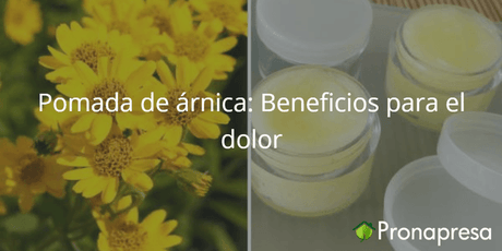 Pomada de árnica: Beneficios para el dolor - Tienda Naturista Pronapresa - Articulaciones, Bienestar, Consejos, Dolor, Medicina Tradicional, Naturopatía, Salud