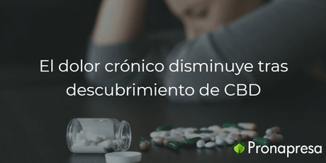 El dolor crónico disminuye tras descubrimiento de CBD - Tienda Naturista Pronapresa - Bienestar, CBD, Consejos, Dato Curioso, Dolor, Naturopatía, Salud