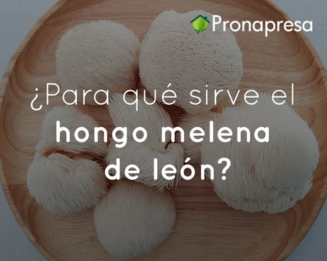 ¿Para qué sirve el hongo melena de león?