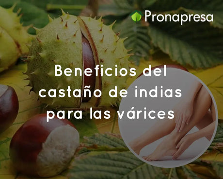 Beneficios del castaño de indias para las várices