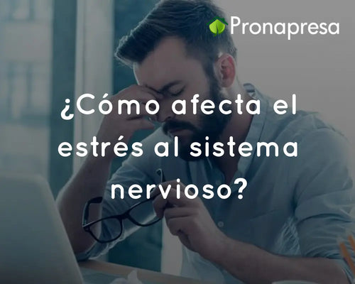 ¿Cómo afecta el estrés al sistema nervioso?