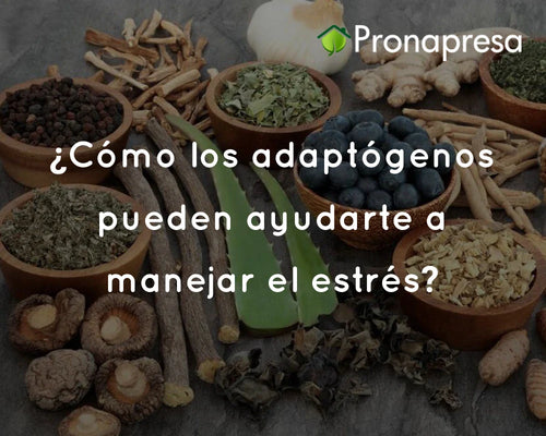 ¿Cómo los adaptógenos pueden ayudarte a manejar el estrés?