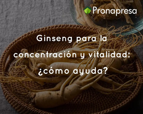 Ginseng para la concentración y vitalidad: ¿cómo ayuda?