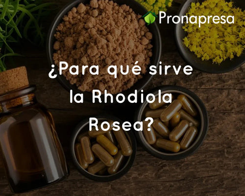 ¿Para qué sirve la Rhodiola Rosea?