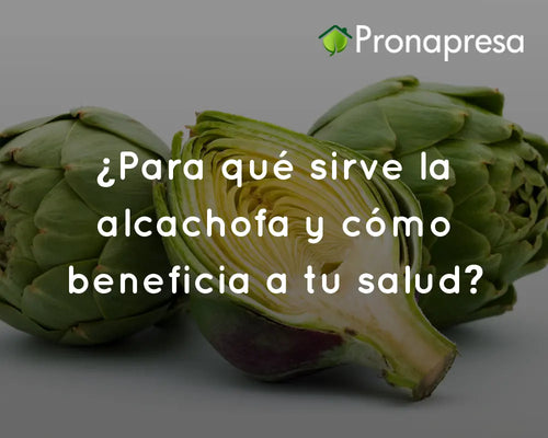 ¿Para qué sirve la alcachofa y cómo beneficia a tu salud?
