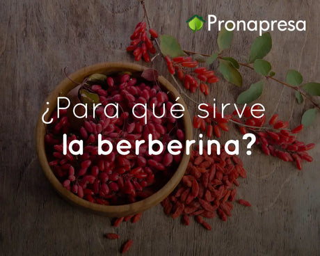 ¿Para qué sirve la berberina?