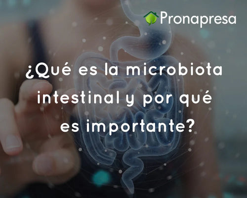 ¿Qué es la microbiota intestinal y por qué es importante?