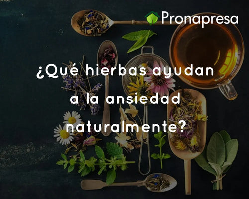 ¿Qué hierbas ayudan a la ansiedad naturalmente?