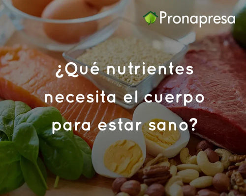 ¿Qué nutrientes necesita el cuerpo para estar sano?