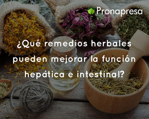 ¿Qué remedios herbales pueden mejorar la función hepática e intestinal?