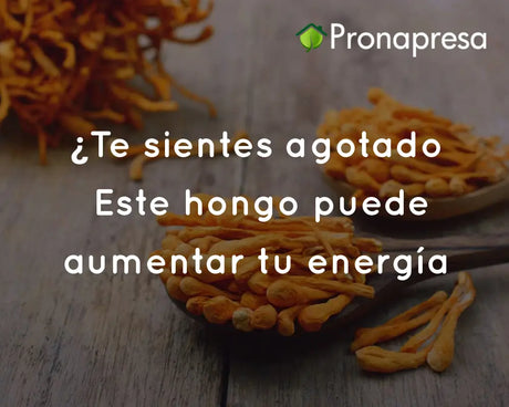¿Te sientes agotado? Este hongo puede aumentar tu energía