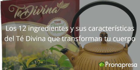 Los 12 ingredientes y sus características del Té Divina que transforman tu cuerpo - Tienda Naturista Pronapresa - Bienestar, Dato Curioso, Depurador, Estreñimiento, Medicina Tradicional, Naturopatía, Salud, Sistema Digestivo