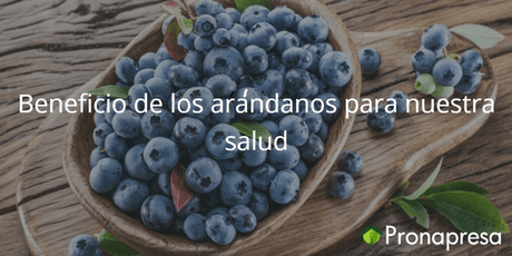 Beneficio de los arándanos para nuestra salud - Tienda Naturista Pronapresa - Antioxidantes, Bienestar, Consejos, Cuidado de la piel, Dato Curioso, Medicina Tradicional, Naturopatía, Nutrición, Salud