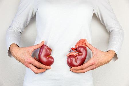 Ácido úrico ¿Qué es y cómo controlarlo? 🤓 - Tienda Naturista Pronapresa - Consejos, Nutrición, Recetas, Riñones, Riñón, Salud, Ácido Úrico