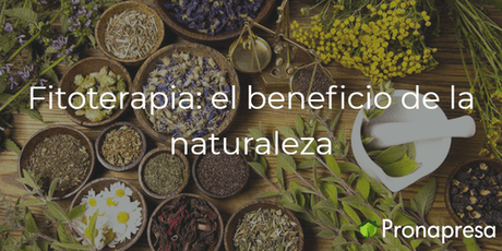 Fitoterapia: el beneficio de la naturaleza - Tienda Naturista Pronapresa - Ansiedad, Bienestar, Consejos, Dato Curioso, Depresión, Dolor, Estrés, Insomnio, Medicina Tradicional, Naturopatía, Nervios, Salud, Salud Mental