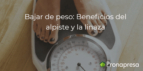 Beneficios del alpiste y la linaza - Tienda Naturista Pronapresa - Bienestar, Colesterol, Consejos, Dieta, Estreñimiento, Fibra, Linaza, Nutrición, Obesidad, Salud, Sistema Digestivo