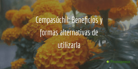 Cempasúchil: beneficios y formas alternativas de utilizarla - Tienda Naturista Pronapresa - Antioxidantes, Bienestar, Consejos, Depurador, Desintoxicacion, Detox, Inflamación, Medicina Tradicional, Naturopatía, Nutrición, Salud, Sistema Digestivo