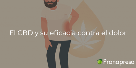 El CBD y su eficacia contra el dolor - Tienda Naturista Pronapresa - Bienestar, CBD, Consejos, Dolor, Naturopatía, Nova, Salud