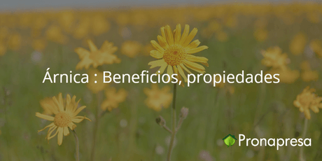 Árnica: Beneficios, propiedades - Tienda Naturista Pronapresa - Bienestar, Consejos, Dato Curioso, Dolor, Medicina Tradicional, Naturopatía, Salud