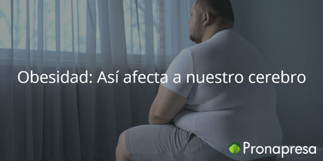 Obesidad: Así afecta a nuestro cerebro - Tienda Naturista Pronapresa - Bienestar, Cansancio, Carbohidratos, Consejos, Dato Curioso, Dieta, Ejercicio, Naturopatía, Nutrición, Obesidad, Salud