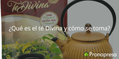 ¿Qué es el té Divina y cómo se toma? - Tienda Naturista Pronapresa - Antioxidantes, Bienestar, Consejos, Depurador, Desintoxicacion, Detox, Medicina Tradicional, Naturopatía, Nutrición, Salud