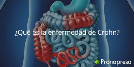 ¿Qué es la enfermedad de Crohn? - Tienda Naturista Pronapresa - Bienestar, Consejos, Cólon, Dato Curioso, Salud, Sistema Digestivo