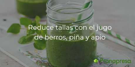 Reduce tallas con el jugo de berros, piña y apio. - Tienda Naturista Pronapresa - Bienestar, Consejos, Diabetes, Dieta, Naturopatía, Nutrición, Obesidad, Recetas, Salud