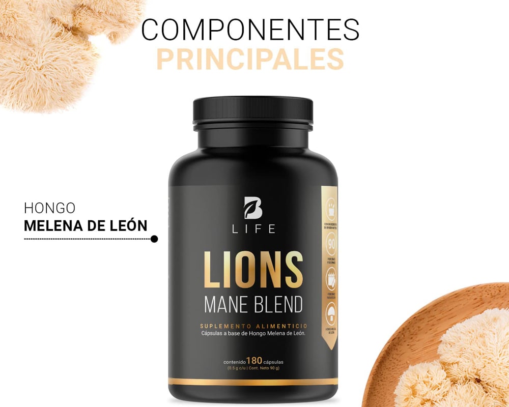 Ingredientes Lions Mane Blend B Life | Hongo de Melena de León Propiedades antioxidantes Mejora la salud digestiva