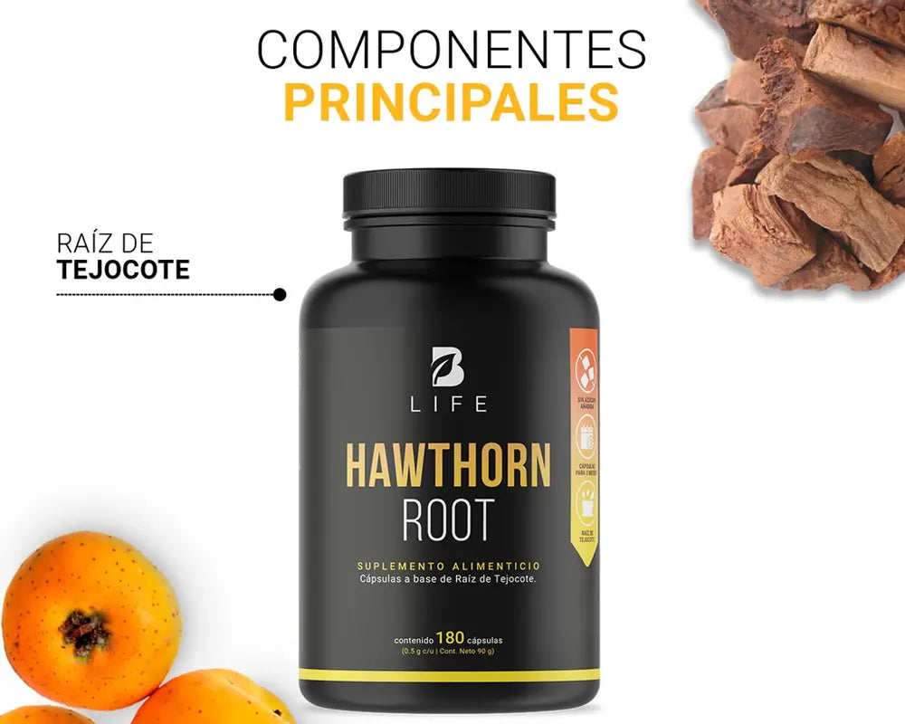 Ingredientes Hawthorn Root B Life | Raíz de Tejocote Rico en vitaminas y minerales Apoya la salud cardiovascular Fortalece el sistema inmunológico