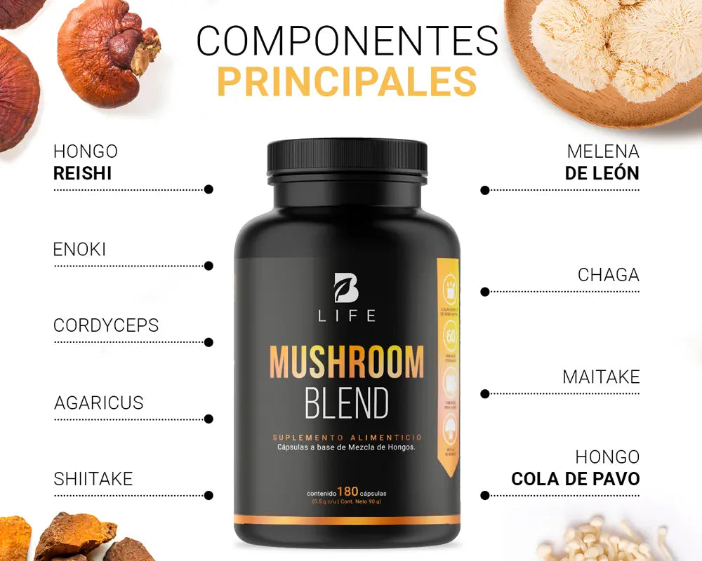 Ingredientes y beneficios del Mushroom Blend B Life Promueve la salud digestiva Propiedades antioxidantes