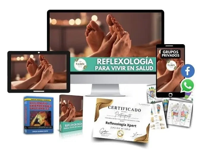 Curso en línea de Reflexología para vivir en salud