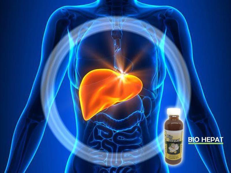 Bio Hepat beneficios