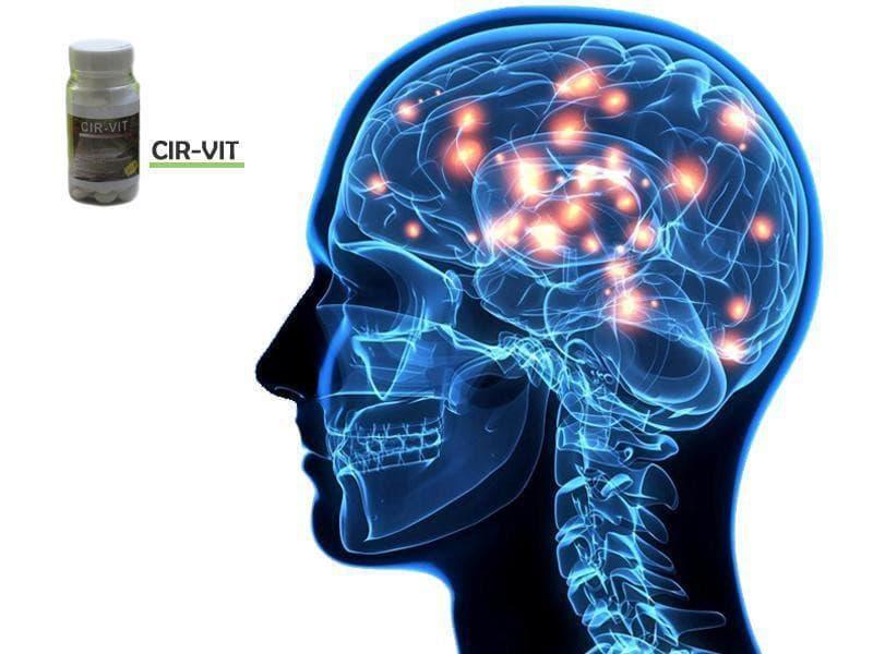 Cir-Vit para la memoria