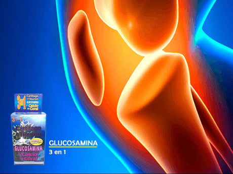 Glucosamina 3 en 1 Reforzado con Ajo - Tienda Naturista Pronapresa - Ajo, allium sativum, Analgésico, Antiinflamatorio, Artritis, Calcio de Coral, cartilago de tiburon, cartilagos, cartílago, Complementos Alimenticios, Glucosamina, Huesos, Magnesio, Metil Sulfonil Metano (MSM), MSM, Ortiga, Osteoartritis, Osteoporosis, Reuma, Reumas, Reumatismo, Sistema Articular, Sistema Óseo, Suplementos Alimenticios, Urtica, Urtica Dioica, Vitamina C, Vitamina D, Vitamina D3