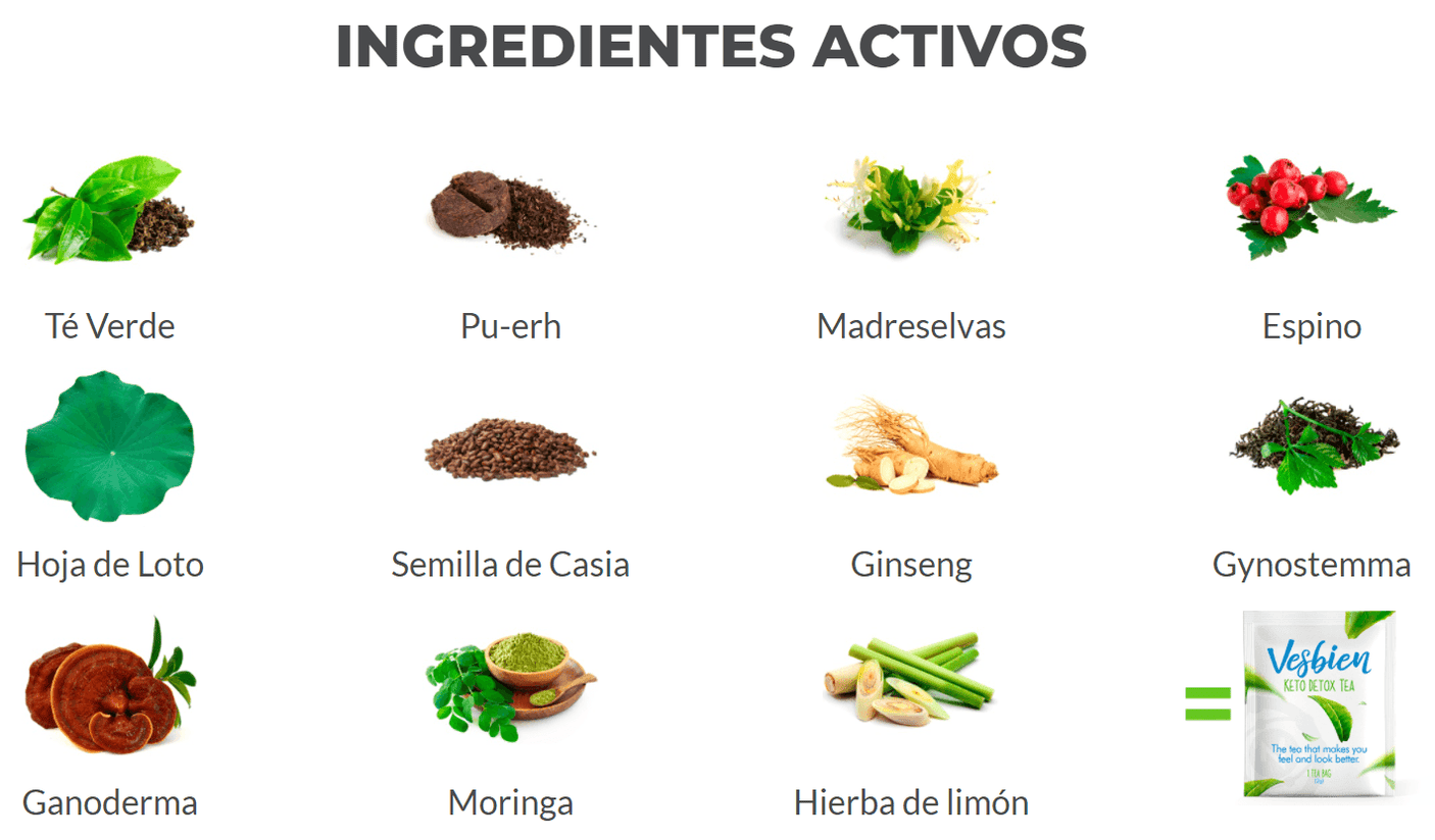 Ingredientes activos beneficios Té vesbien