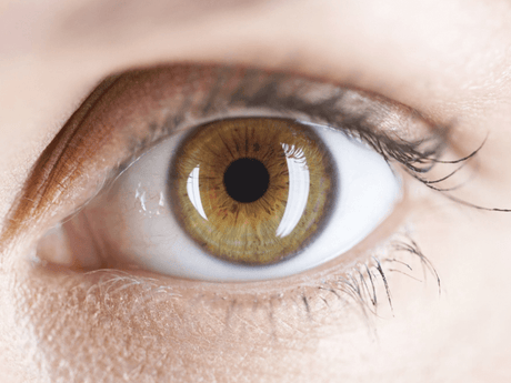 10 increíbles datos del ojo humano