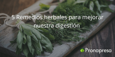 5 remedios herbales para mejorar nuestra digestión - Tienda Naturista Pronapresa - Bienestar, Consejos, Estreñimiento, Naturopatía, Nutrición, Obesidad, Salud, Sistema Digestivo