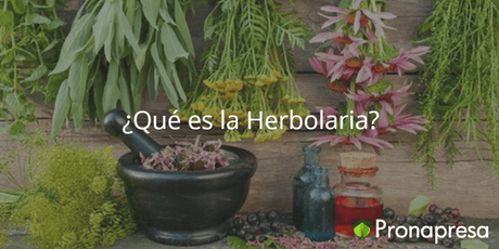 ¿Qué es la Herbolaria? - Tienda Naturista Pronapresa - Bienestar, Dato Curioso, Medicina Tradicional, Naturopatía, Salud