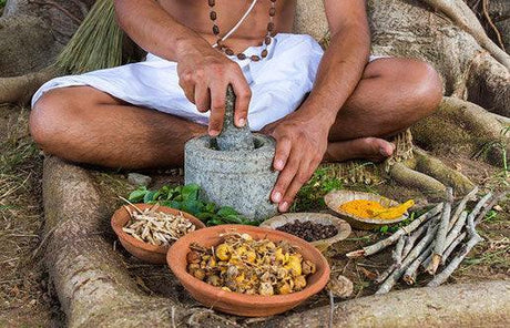 22 de Octubre, Día Mundial de la Medicina Tradicional - Tienda Naturista Pronapresa - Bienestar, Dato Curioso, Medicina Tradicional, Naturopatía, Salud