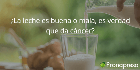 ¿La leche es buena o mala, es verdad que da cáncer? 🥛 - Tienda Naturista Pronapresa - Bienestar, Calcio, Colesterol, Consejos, Cáncer, Dato Curioso, Dieta, Nutrición, Salud, Sistema Digestivo