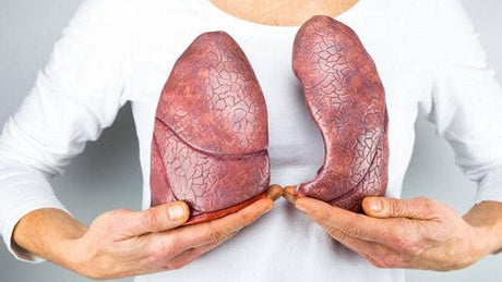 8 de septiembre Día Mundial de la Fibrosis Quística - Tienda Naturista Pronapresa - Consejos, Dato Curioso, Pulmones, Salud, Sistema Digestivo